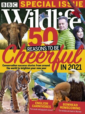 cover image of BBC Wildlife Magazine